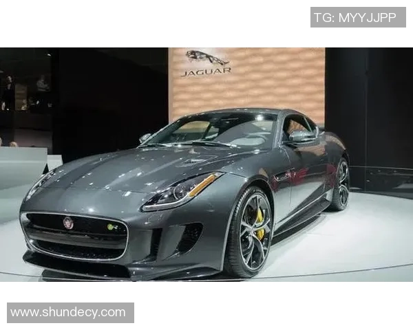 全球体育明星豪车排行榜前十名揭晓你最喜欢哪一款 全球体育明星豪车排行榜前十名揭晓你最喜欢哪一款