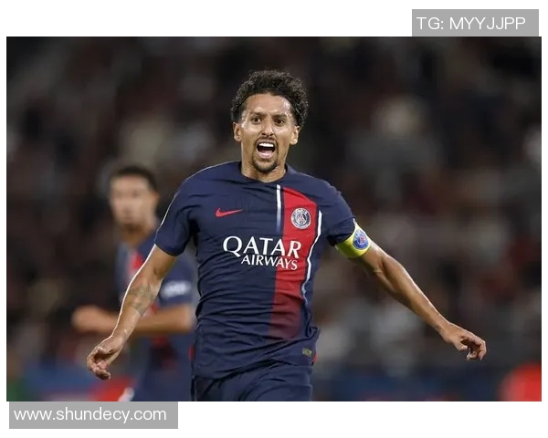 足球明星属于体育行业的职业发展与影响力分析 足球明星属于体育行业的职业发展与影响力分析